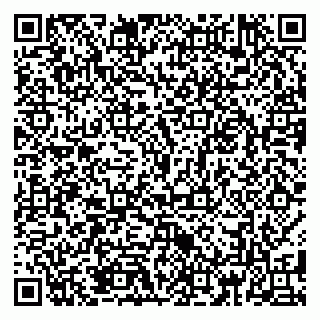 vCard 79185013863