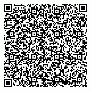 vCard 79185013872