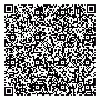 vCard 79185013873