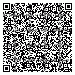 vCard 79185013875