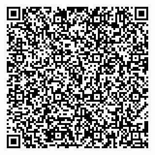 vCard 79185013876