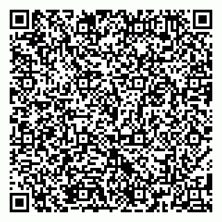 vCard 79185013880