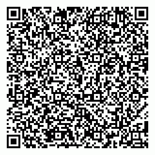 vCard 79185013881