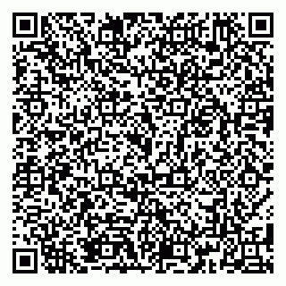 vCard 79185013882