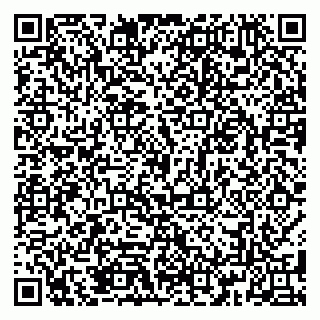 vCard 79185013884