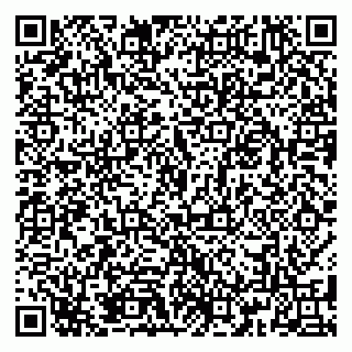 vCard 79185013887
