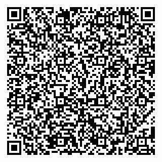 vCard 79185013889