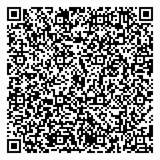 vCard 79185013910