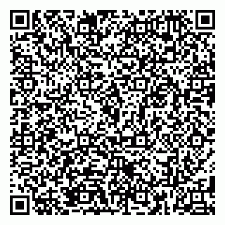 vCard 79185013918
