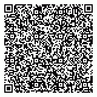 vCard 79185013924