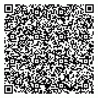 vCard 79185014536