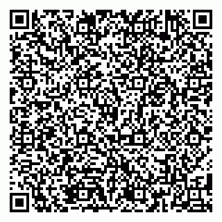 vCard 79185015403