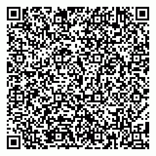 vCard 79185015873