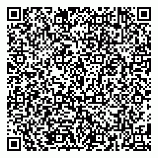 vCard 79185016313