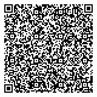 vCard 79185998046