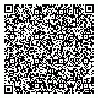 vCard 79185998163
