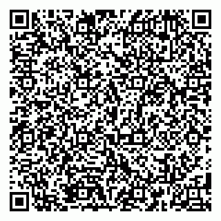 vCard 79185999399
