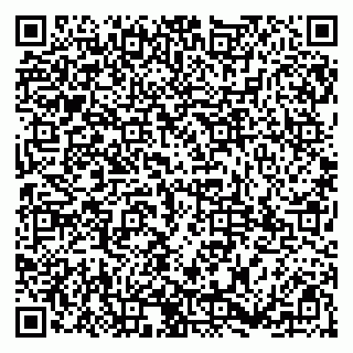 vCard 79185999633