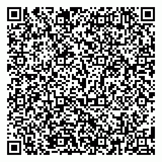 vCard 79185999725