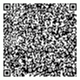 vCard 79185999861