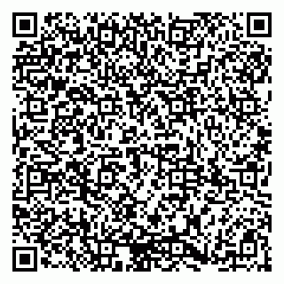 vCard 79185999880