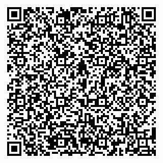 vCard 79185999987