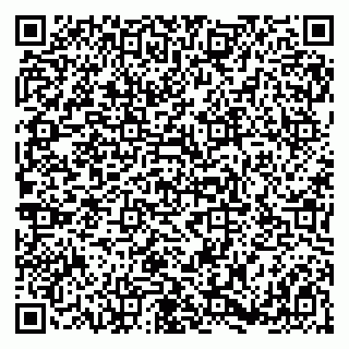 vCard 79186999873