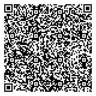 vCard 79186999919