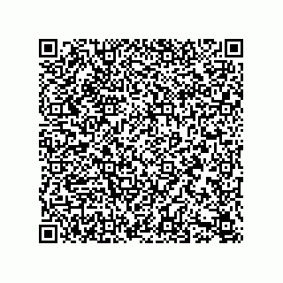vCard 79187000003