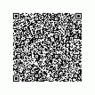 vCard 79187000113