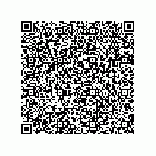 vCard 79187000221