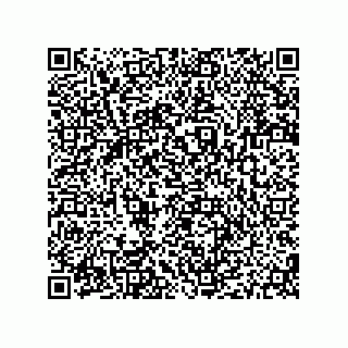 vCard 79187000273