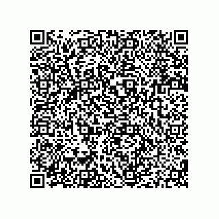 vCard 79187000290