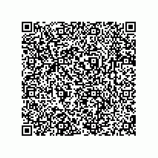 vCard 79187000323