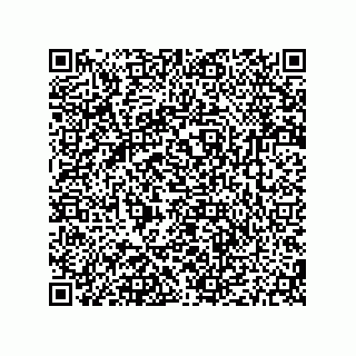 vCard 79187000324