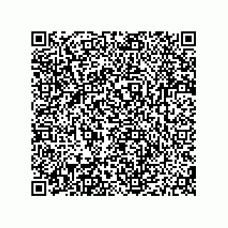 vCard 79187000331