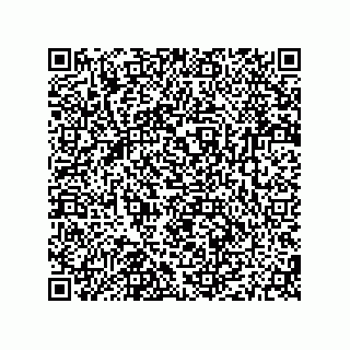 vCard 79187000380
