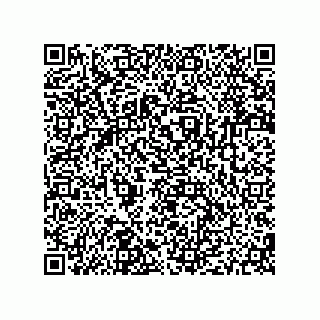 vCard 79187000382