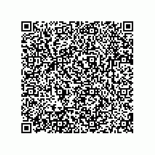 vCard 79187000391