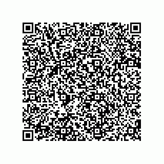 vCard 79187000405