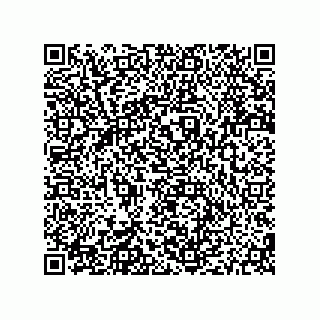 vCard 79187000413