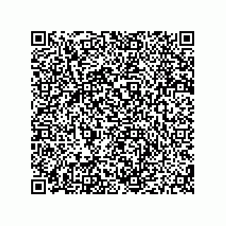 vCard 79187000431