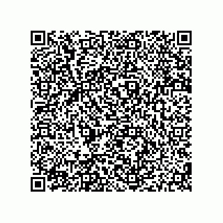 vCard 79187000497