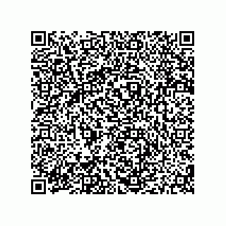 vCard 79187000532