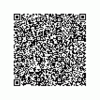 vCard 79187000535