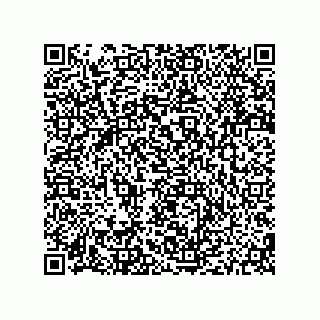 vCard 79187000539