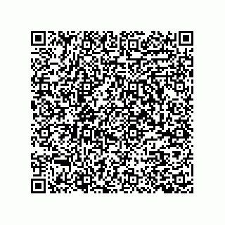 vCard 79187000602