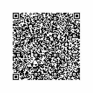 vCard 79187000739