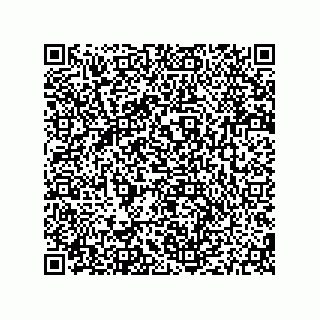 vCard 79187000740