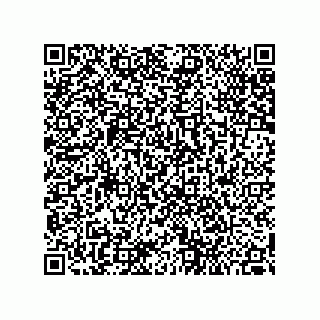 vCard 79187200217